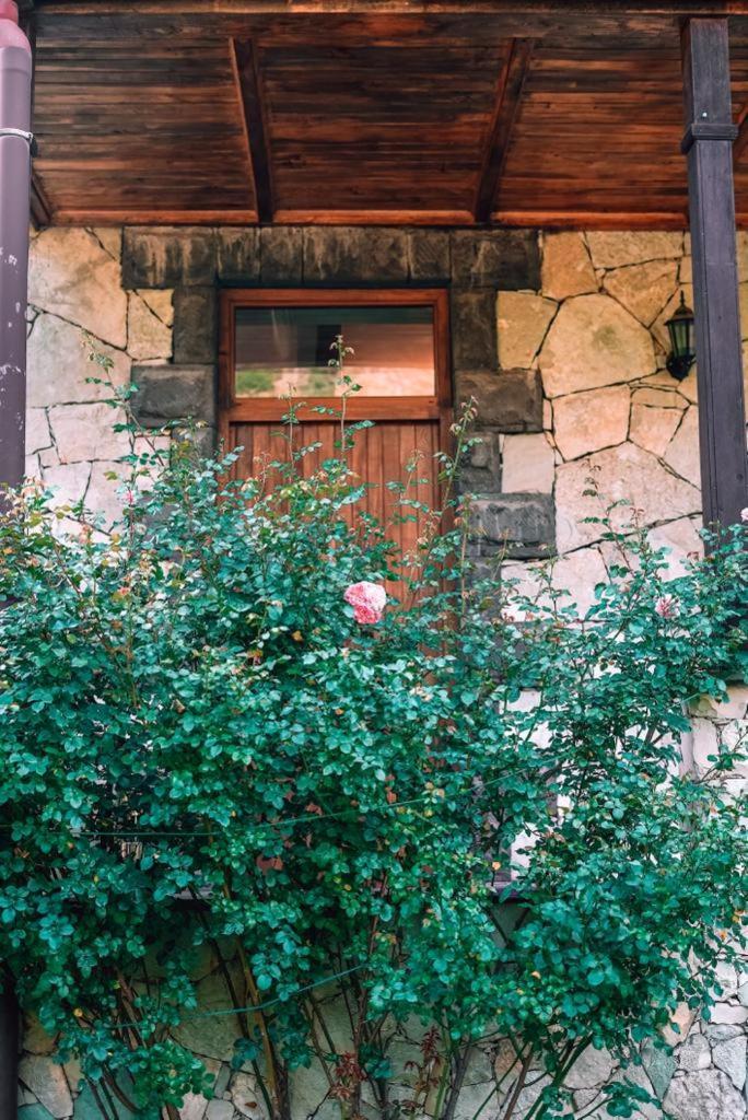 Eco Garden Bed & Breakfast Дилиян Екстериор снимка
